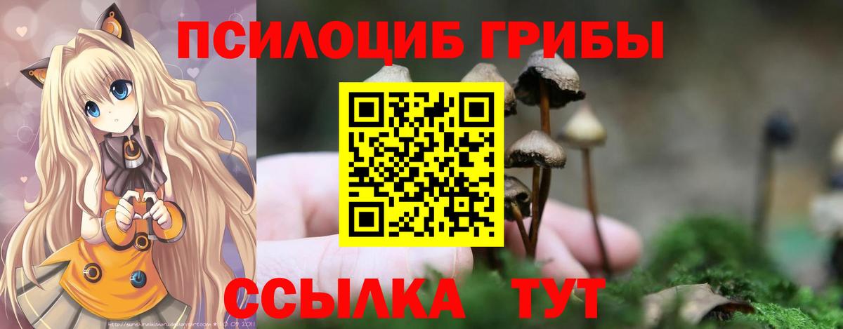 Галлюциногенные грибы прущие грибы Белогорск